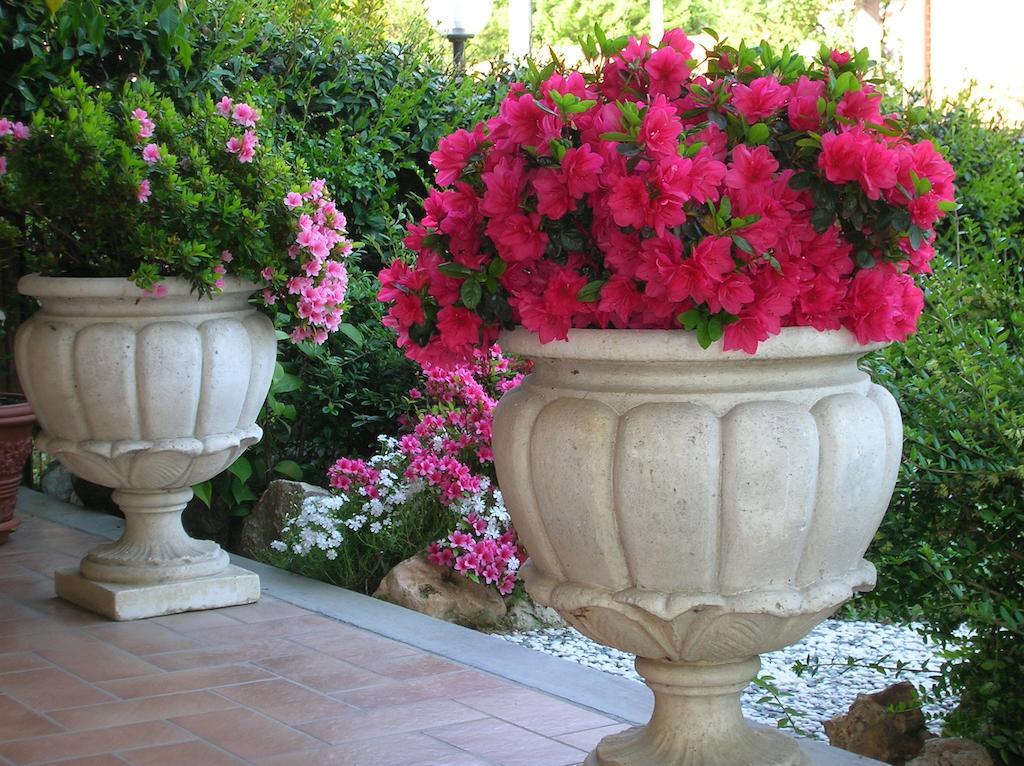 B&B Anna Μονκαλιέρι Εξωτερικό φωτογραφία